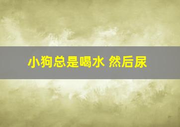 小狗总是喝水 然后尿